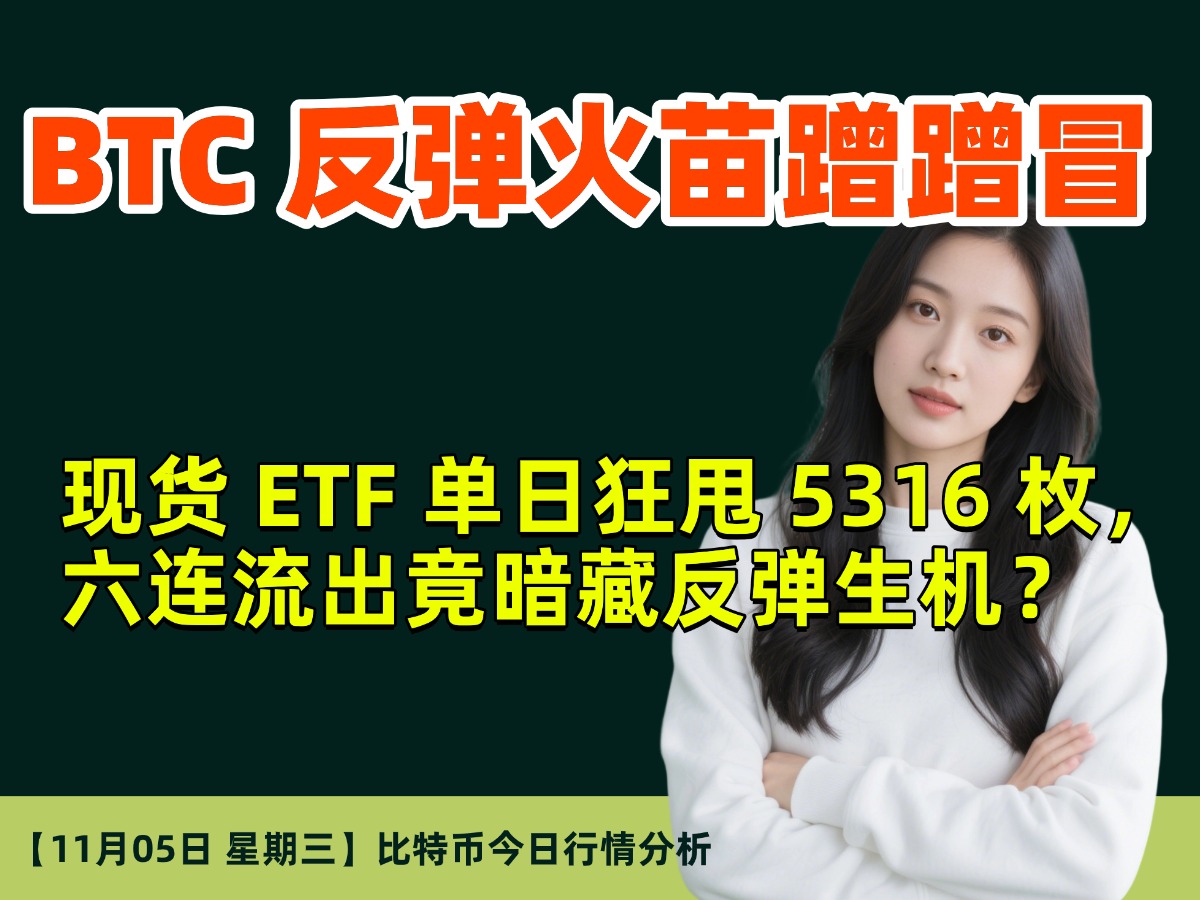 11月05日｜BTC 反弹火苗蹭蹭冒！现货 ETF 单日狂甩 5316 枚，六连流出竟暗藏反弹生机？
